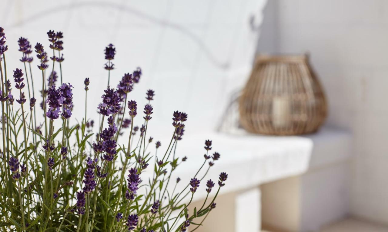 Agapanto Masseria Bed & Breakfast กอนแวร์ซาโน ภายนอก รูปภาพ