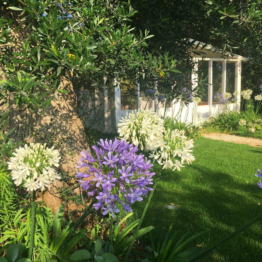 Agapanto Masseria Bed & Breakfast กอนแวร์ซาโน ภายนอก รูปภาพ